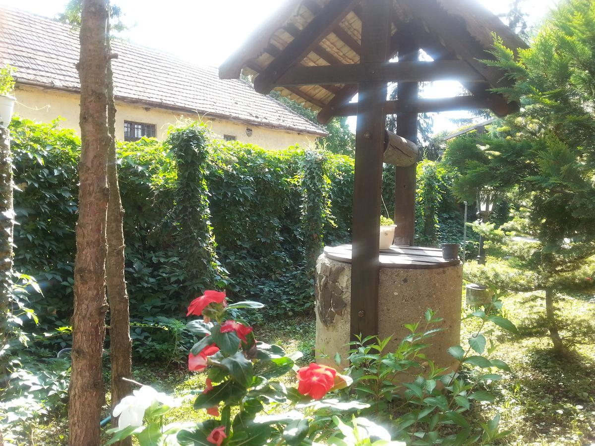 Felso Fogado Bed & Breakfast Felsotold Ngoại thất bức ảnh