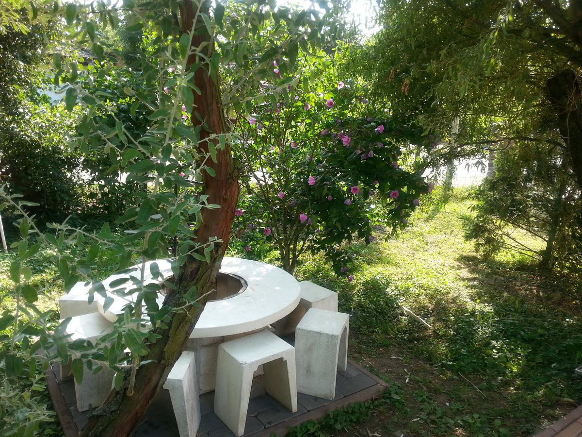 Felso Fogado Bed & Breakfast Felsotold Ngoại thất bức ảnh