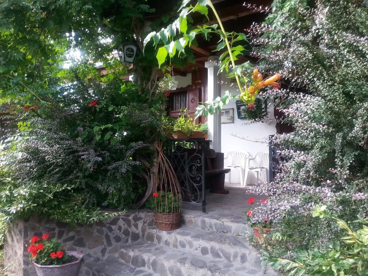 Felso Fogado Bed & Breakfast Felsotold Ngoại thất bức ảnh